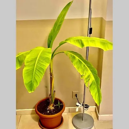 Cozy In Super Centro! Апартаменты